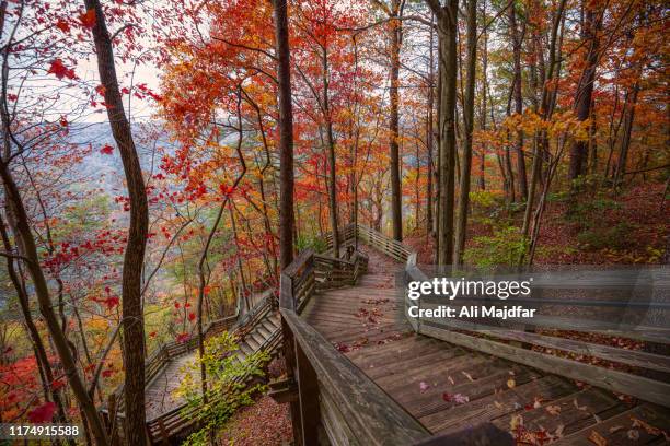 new river gorge bridge view point walkway - fayetteville stock pictures, royalty-free photos & images