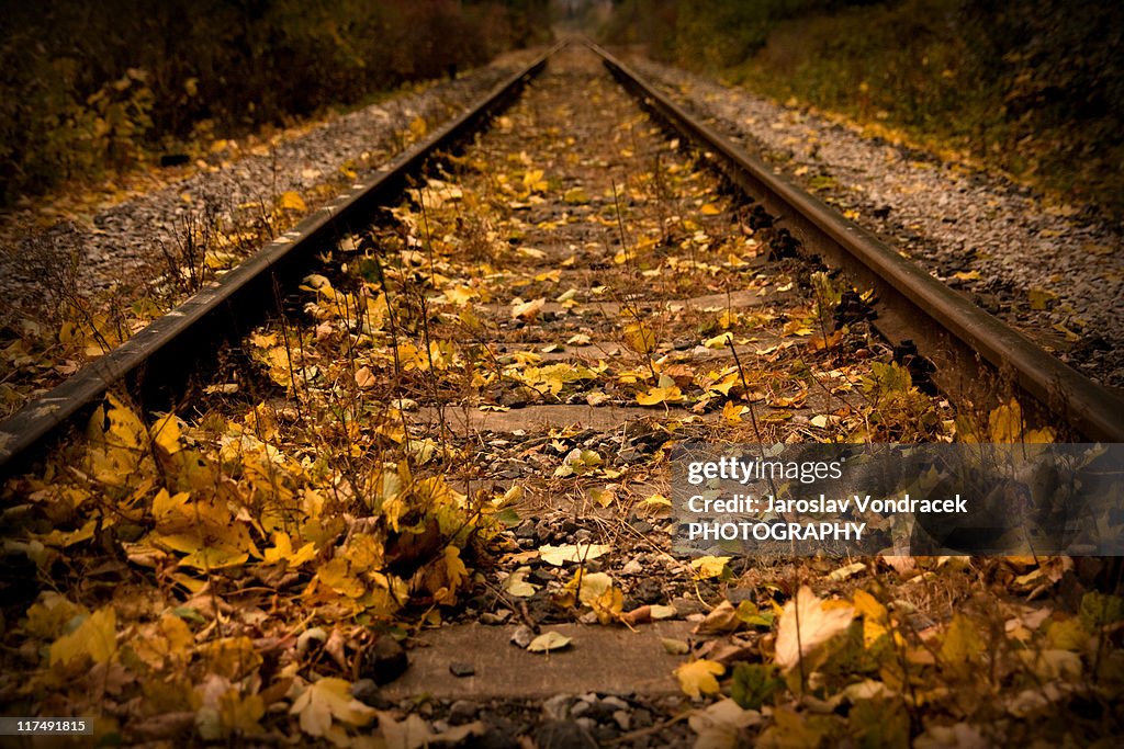 Leave Fall Track Fallen Leaves On Railway Track High-Res Stock Photo - Getty Images