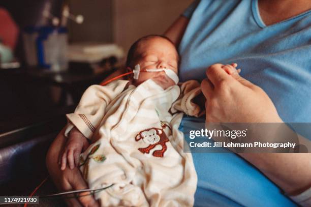 29 week premature baby is held with mother in hospital in the nicu - incubator bildbanksfoton och bilder
