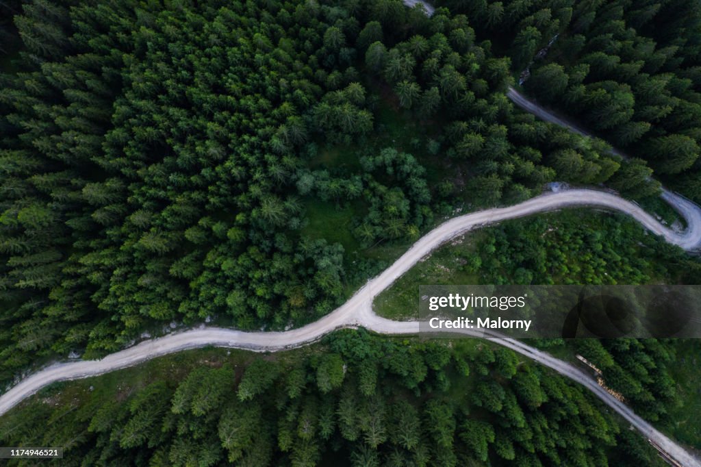 Aerial view of green forest and winding path. Drone view. Directly above.
