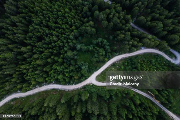 aerial view of green forest and winding path. drone view. directly above. - landscaped walkway stock pictures, royalty-free photos & images