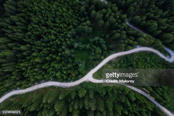 aerial view of green forest and winding path. drone view. directly above. - terreno extremo - fotografias e filmes do acervo