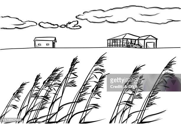 canadian farm house - prairie grass stock illustrations