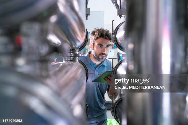 joven trabajador en el control de calidad de la bodega - wine maker fotografías e imágenes de stock