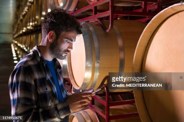 winemaker working in oak barrels at cellar - examining wine stock pictures, royalty-free photos & images