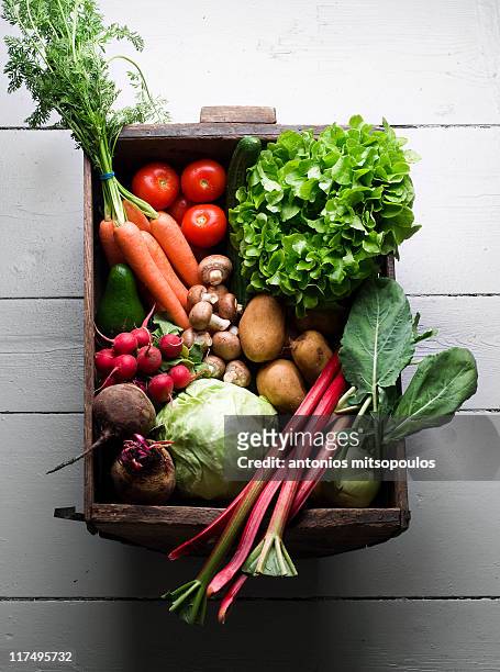 vegetables basket - frische stock-fotos und bilder