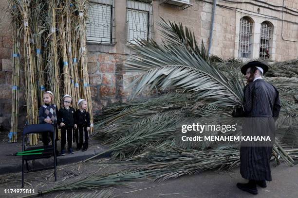 An Ultra-Orthodox Jewish man arranges palm branches for the roof of their Sukkah, the temporary huts constructed to be used during the week-long...