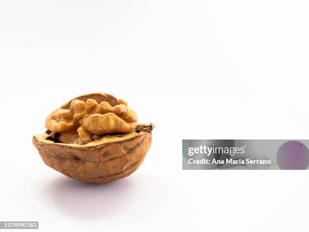 autumn fruits: directly above close up shot of an open walnut against white background - walnuts stockfoto's en -beelden