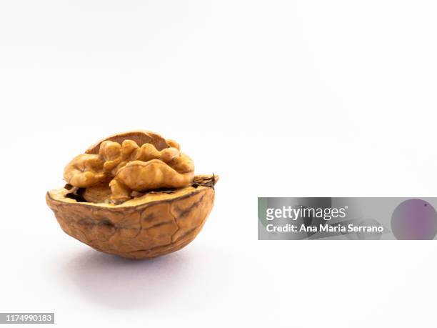 autumn fruits: directly above close up shot of an open walnut against white background - 核桃 個照片及圖片檔