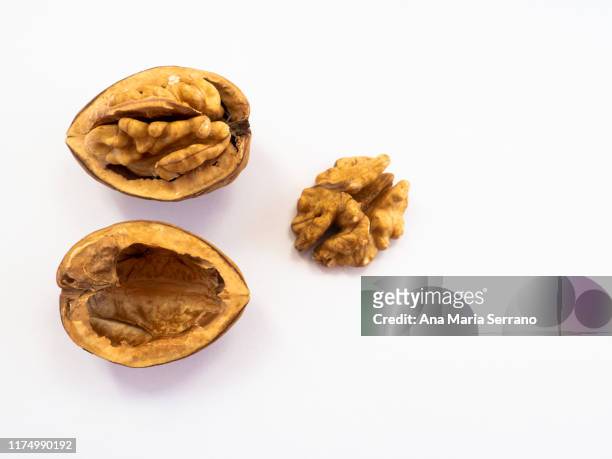 autumn fruits: directly above close up shot of an open walnuts and its shell against white background - castilla leon fotografías e imágenes de stock