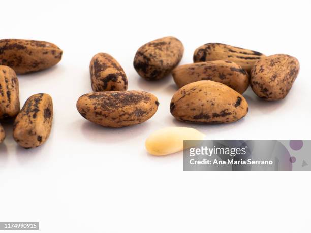 autumn fruits: autumn fruits: directly above close up shot of open and closed pinions against white background isolated on white background - pine nut stock pictures, royalty-free photos & images