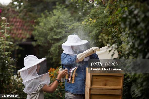 father and son practicing beekeeping in a domestic back garden - apiculture stock pictures, royalty-free photos & images