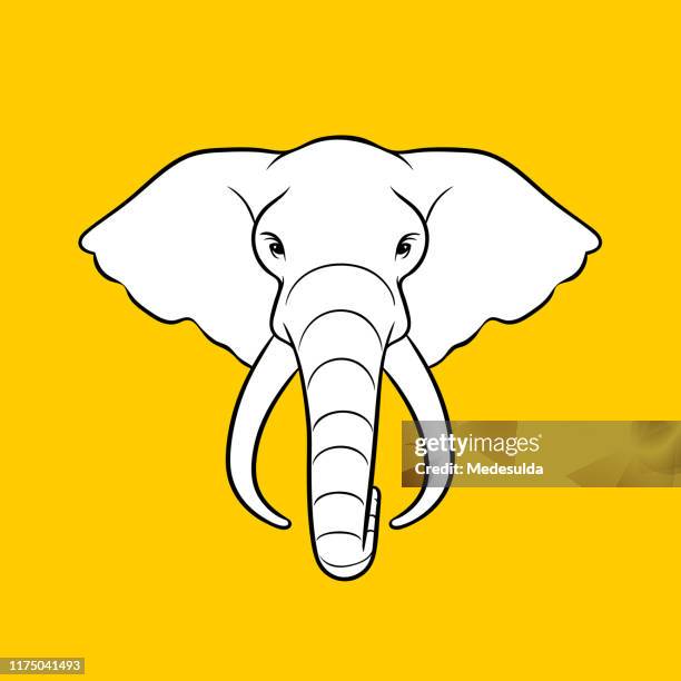 elephant head - savannah stock illustrations