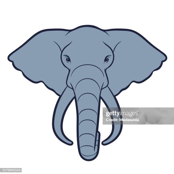 ilustraciones, imágenes clip art, dibujos animados e iconos de stock de cabeza de elefante - elephant head