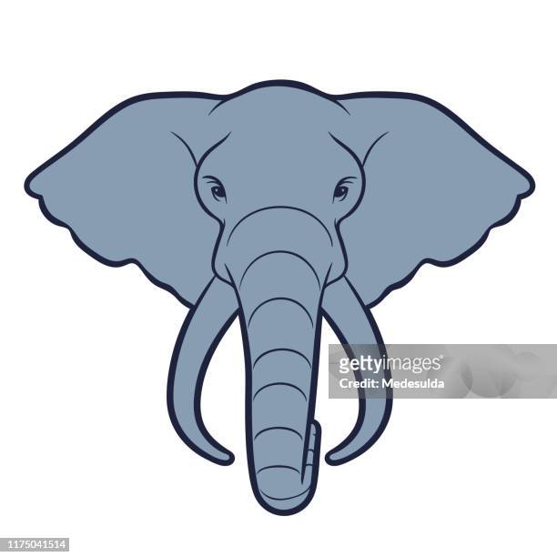 bildbanksillustrationer, clip art samt tecknat material och ikoner med elefant huvud - elephant head