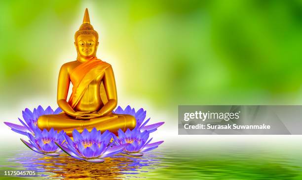 the lord buddha meditated gracefully on a lotus flower with an orange background. (about buddhism) - buddha purnima stock pictures, royalty-free photos & images