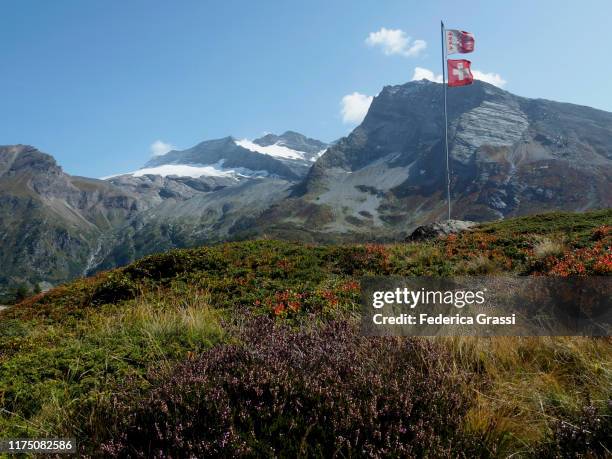 swiss flag and canton of valais flag near simplon pass - valais canton photos et images de collection