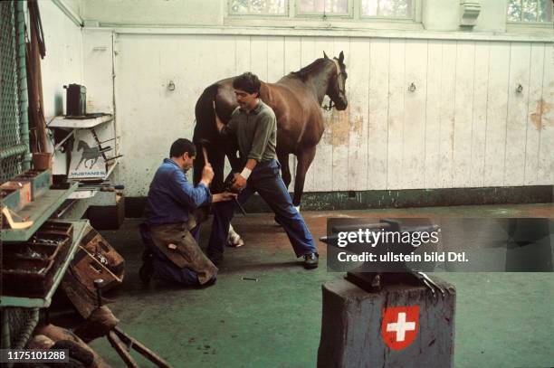 Hufschmied beim Beschlagen eines Pferdes 1990