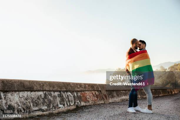 gay couple wrapped in a gay pride flag kissing on a road in the mountains - gay flag stockfoto's en -beelden