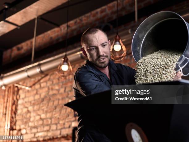 mann pouring green coffee beans in coffee roaster - kaffee rösten stock-fotos und bilder