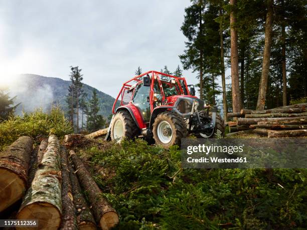 tractor tugging tree trunks in a forest, kolsass, tyrol, austria - forestry worker stock pictures, royalty-free photos & images