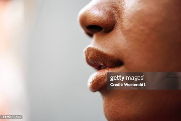 nose, lips and cheek of young woman, close-up - mouth fotografías e imágenes de stock