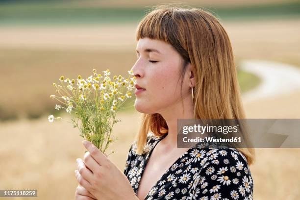 young woman with eyes closed smelling bunch of chamomile flower - long nose foto e immagini stock