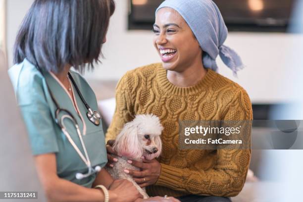 a mulher nova feliz com cancro prende o cão de animal de estimação ao encontrar com seu doutor - animal hospital - fotografias e filmes do acervo