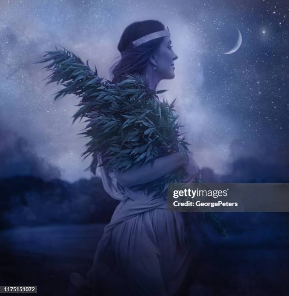 cannabis göttin hält bündel von cannabispflanzen und nachthimmel - goddess stock-fotos und bilder