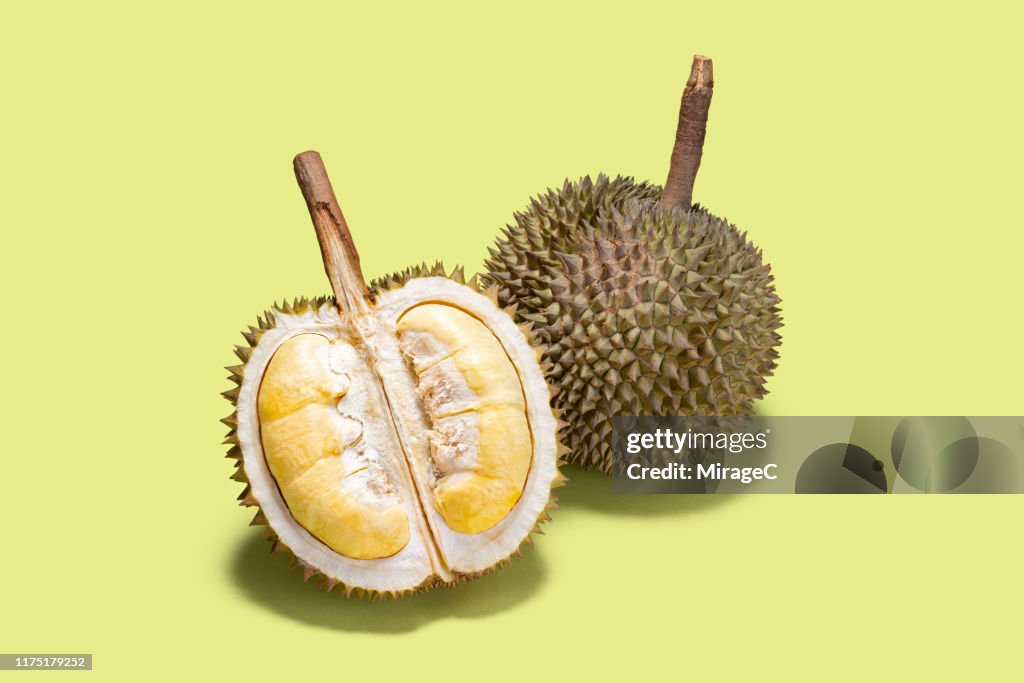 Opened Durian Tropical Fruit