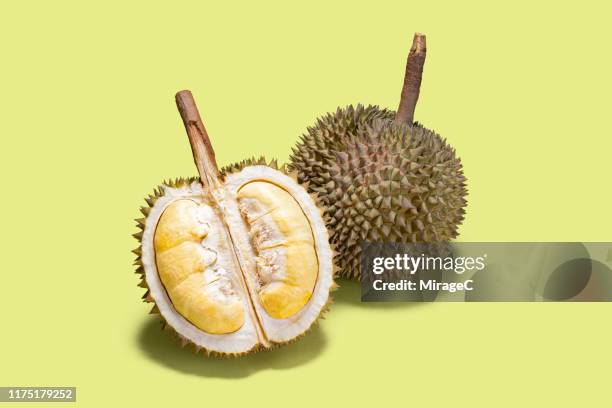 opened durian tropical fruit - durian stock pictures, royalty-free photos & images