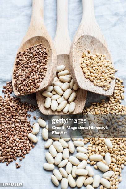 still life of three wooden spoons hemp seeds, lima beans and pearl barley, overhead view - makrodietisk mat bildbanksfoton och bilder