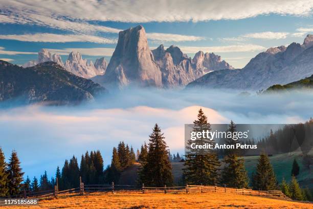 picos de europa national park. asturias, spain - picos de europa fotografías e imágenes de stock