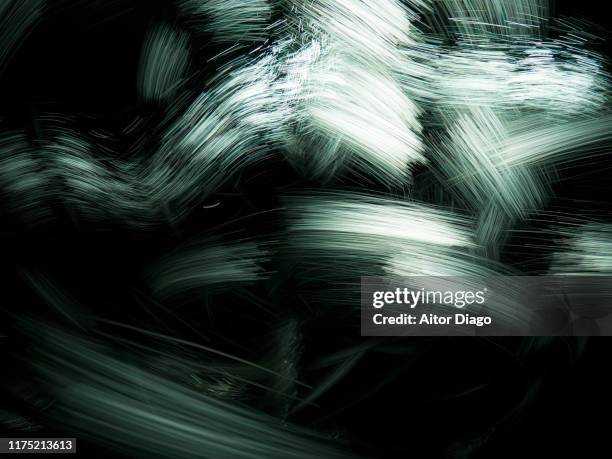 living organisms in movement. - microscopic organisms stock pictures, royalty-free photos & images
