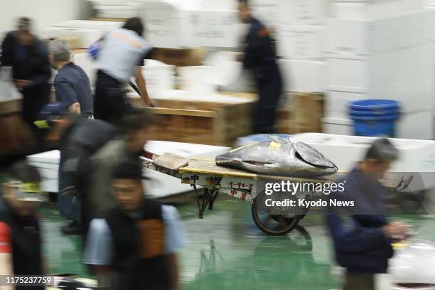 Tuna is carried by handcart after an auction at the Toyosu fish market in Tokyo on Oct. 11 the 1st anniversary of its opening.