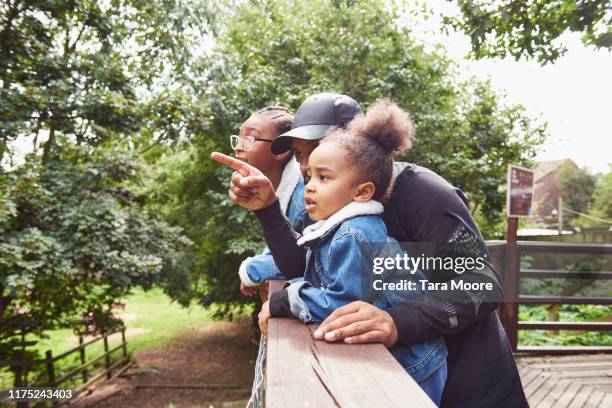 family looking out to nature - conveyor belt point of view stockfoto's en -beelden