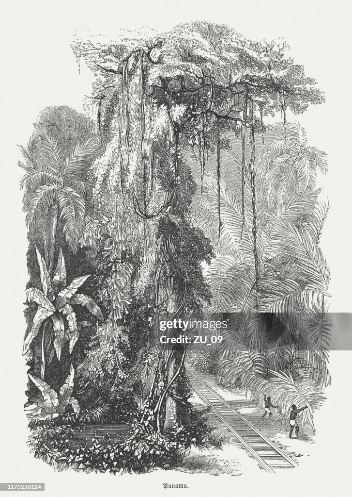 Railroad track of the Isthmus of Panama, woodcut, published 1894