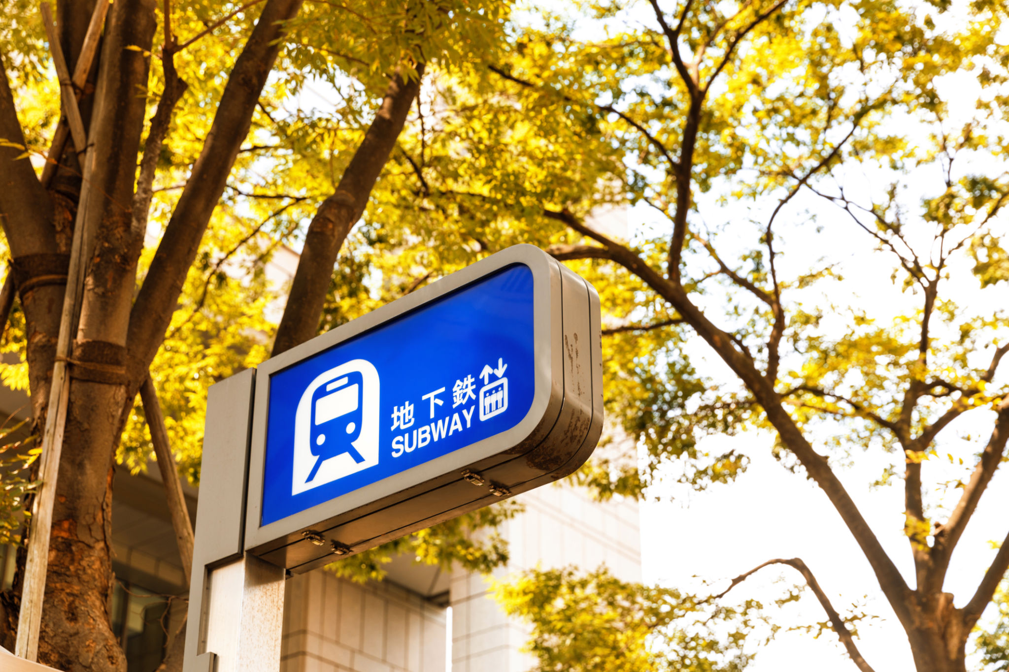 japan rail pass