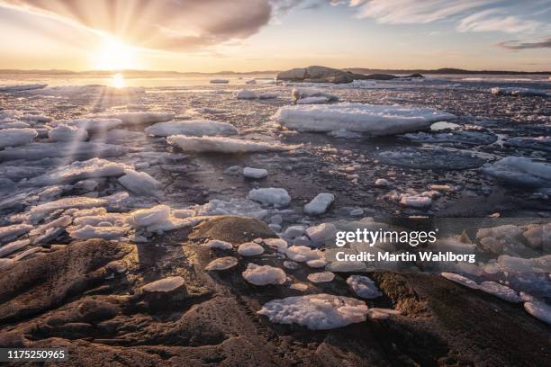 cold sunset by the sea - ice floe stock pictures, royalty-free photos & images