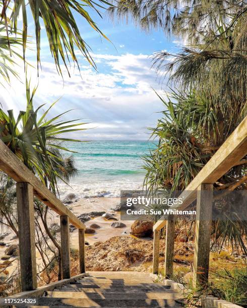 down to the beach - byron bay stock-fotos und bilder