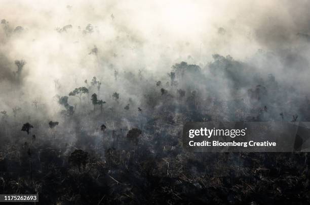 smoke rises from fires in the amazon rainforest - amazon forest fire stock pictures, royalty-free photos & images