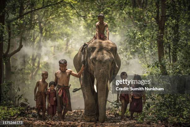 Children Riding Elephants 322 Children Ride Elephant Stock Photos, High-Res Pictures, and Images ...