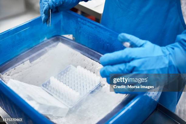 Medical Sample Container Photos and Premium High Res Pictures - Getty ...