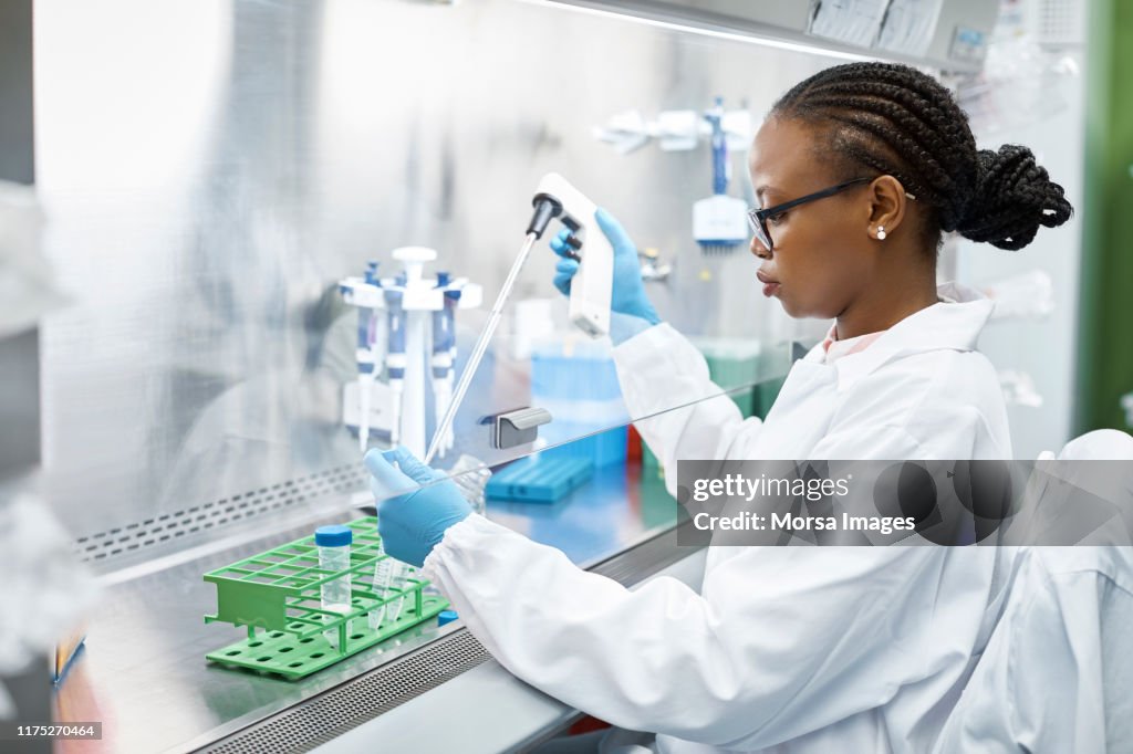 Scientist analyzing medical sample in laboratory