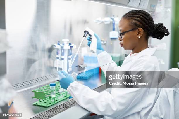 scientist analyzing medical sample in laboratory - biotechnology fotografías e imágenes de stock