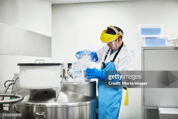 scientist examining crate in freezer at laboratory - liquid nitrogen foto e immagini stock