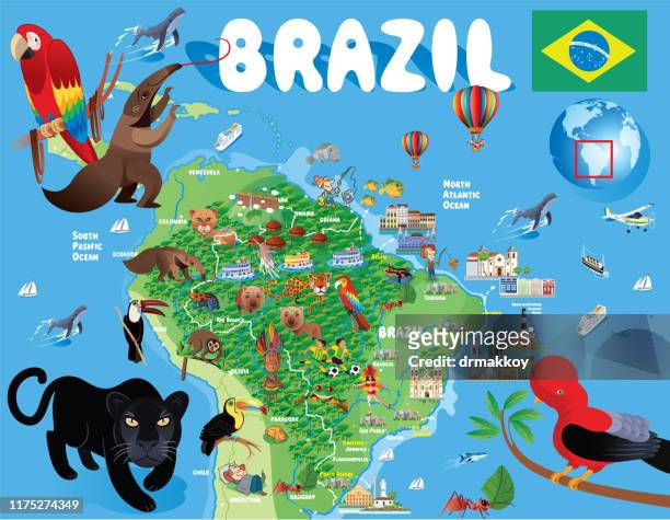 ilustrações de stock, clip art, desenhos animados e ícones de cartoon map of brazil - estado do ceará brasil