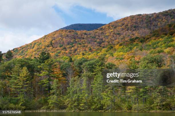 The Fall colours at picturesque and spectacular The Equinox Mountain and Pond in Manchester, Vermont, USA.