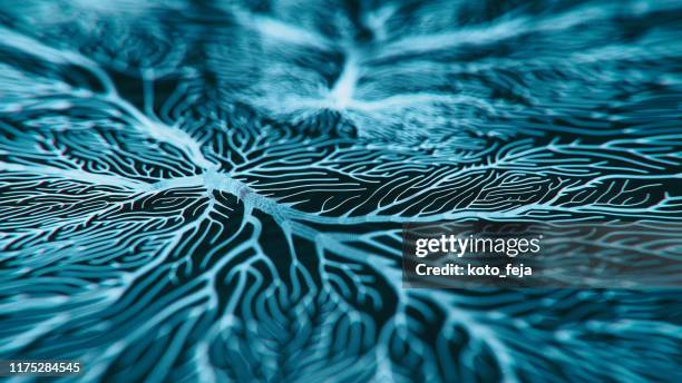 neuron systeem - multiple sclerose stockfoto's en -beelden
