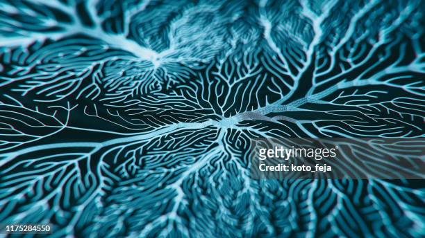 neuron systeem - alzheimers brain stockfoto's en -beelden